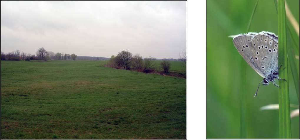 4. 18. Köcsk 1.