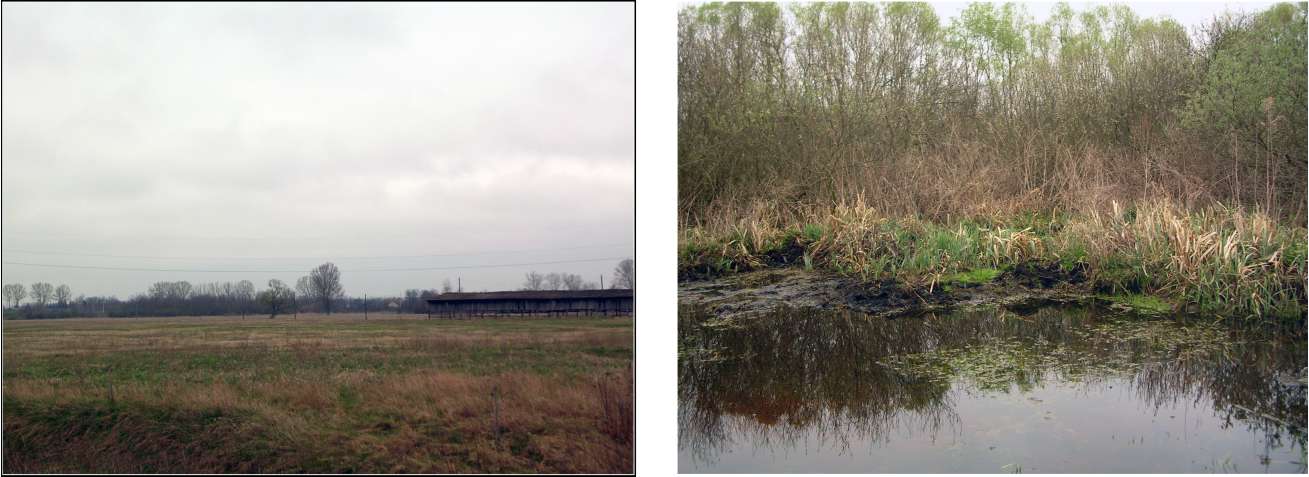 2. bekezdése alapján a 053/5, 053/6, 061 és a 064/b hrsz ex lege védett lápterület, mely Országos Jelentőségű Természetvédelmi Területnek felel meg 4.