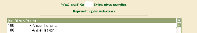 A megjelenő oldalon válassza ki, hogy saját nevében vagy meghatalmazottként kíván-e kérelmet benyújtani. Ha most kíván új meghatalmazást rögzíteni, akkor a saját nevében opciót válassza.