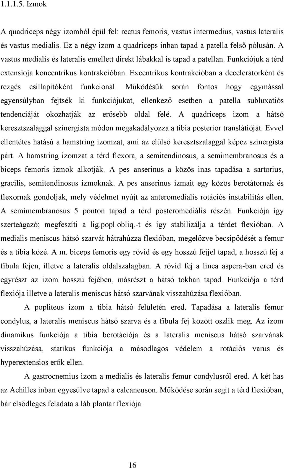 Excentrikus kontrakcióban a decelerátorként és rezgés csillapítóként funkcionál.