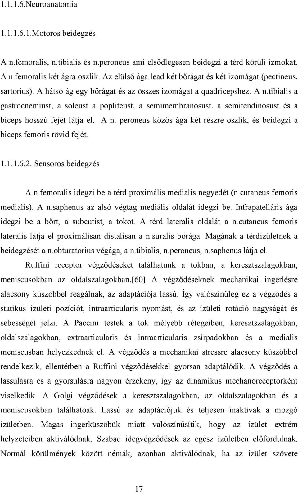 tibialis a gastrocnemiust, a soleust a popliteust, a semimembranosust. a semitendinosust és a biceps hosszú fejét látja el. A n.