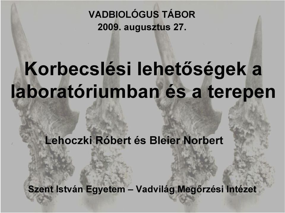 és a terepen Lehoczki Róbert és Bleier