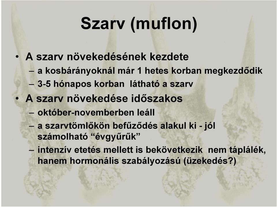 október-novemberben leáll a szarvtömlőkön befűződés alakul ki - jól számolható