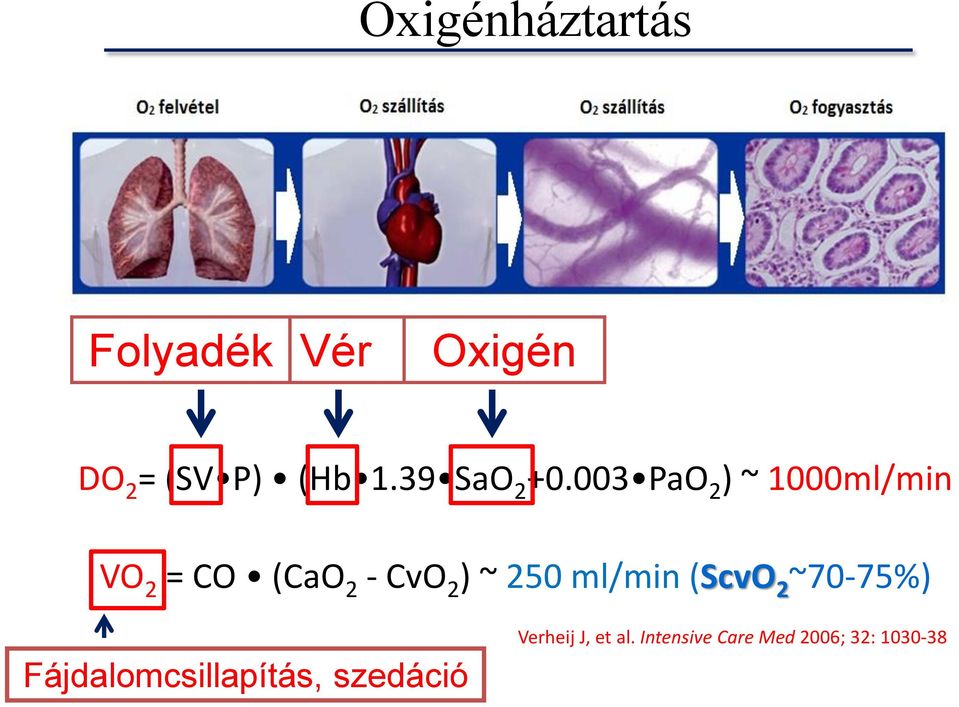 003 PaO 2 ) ~ 1000ml/min VO 2 = CO (CaO 2 - CvO 2 ) ~ 250