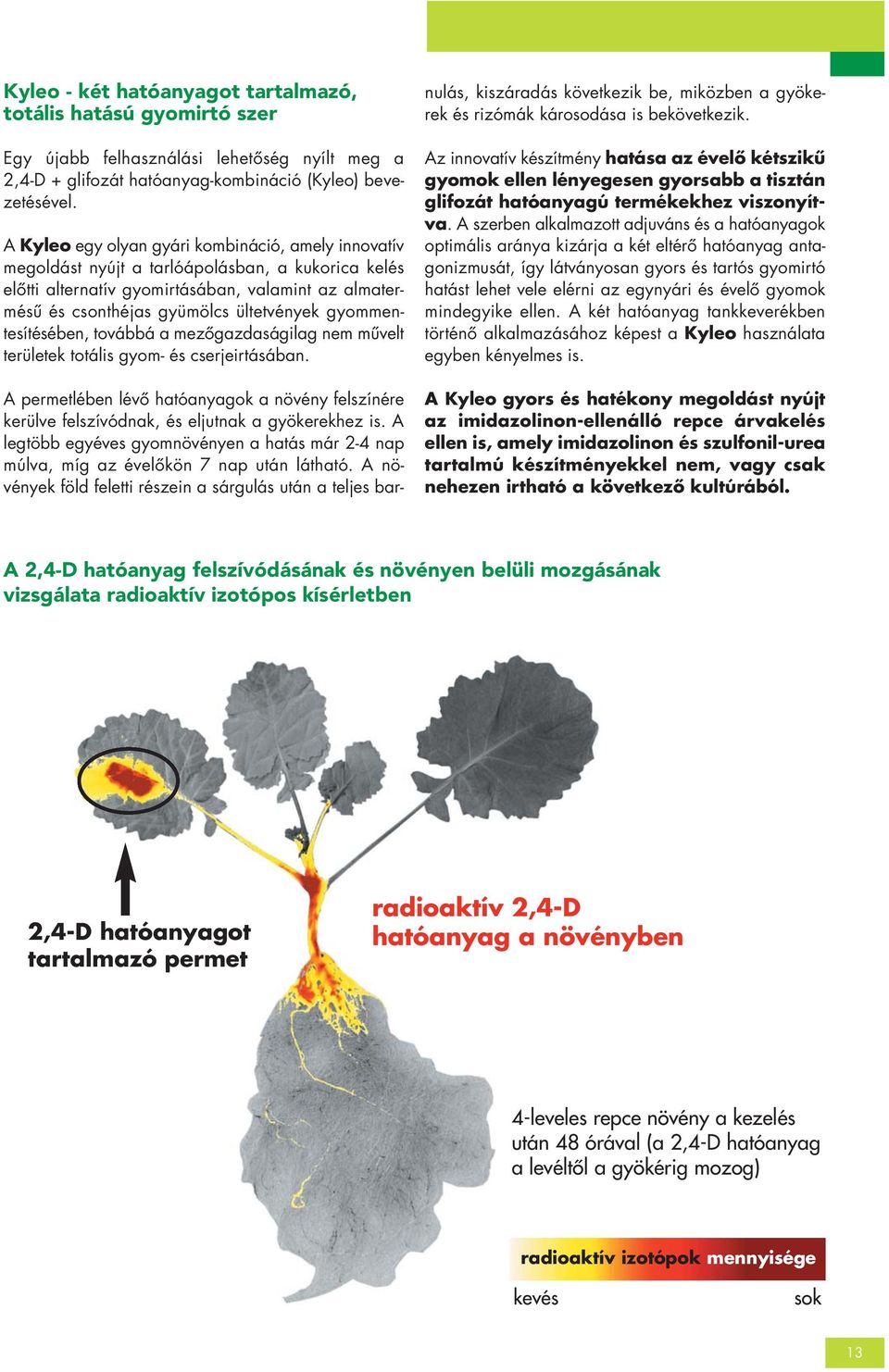 HORMONHATÁSÚ GYOMIRTÓ SZEREK A NÖVÉNYVÉDELEMBEN - PDF Ingyenes letöltés