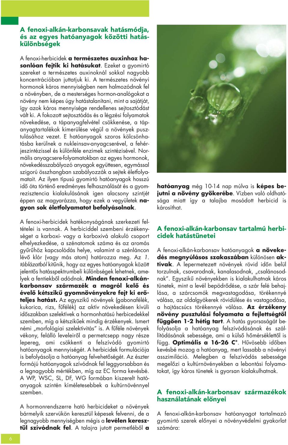 A természetes növényi hormonok káros mennyiségben nem halmozódnak fel a növényben, de a mesterséges hormon-analógokat a növény nem képes úgy hatástalanítani, mint a sajátját, így azok káros
