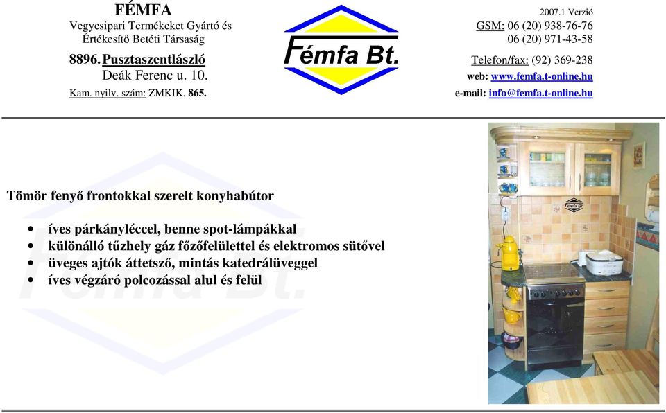 gáz fzfelülettel és elektromos sütvel üveges ajtók