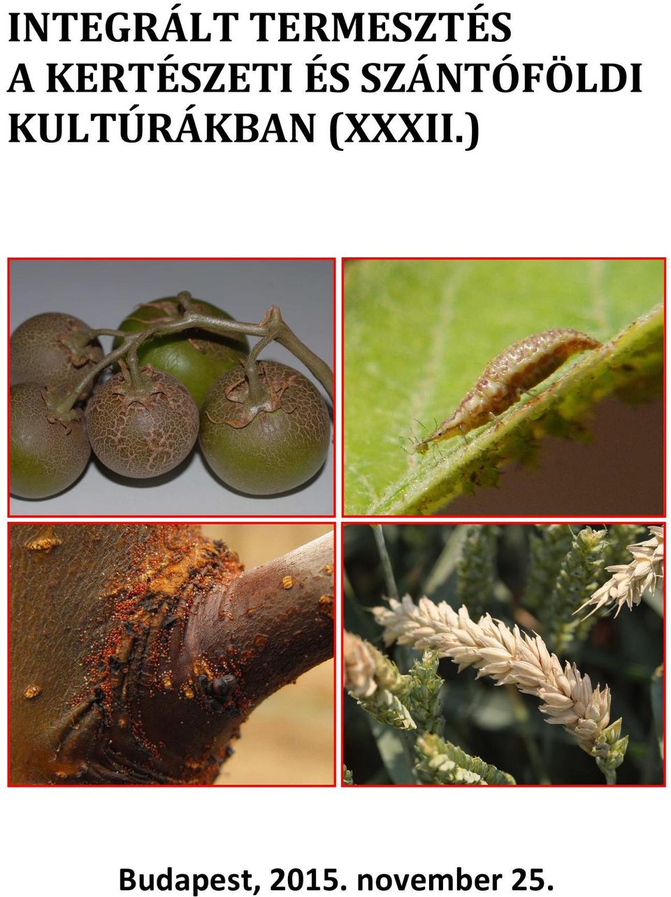 SZÁNTÓFÖLDI KULTÚRÁKBAN