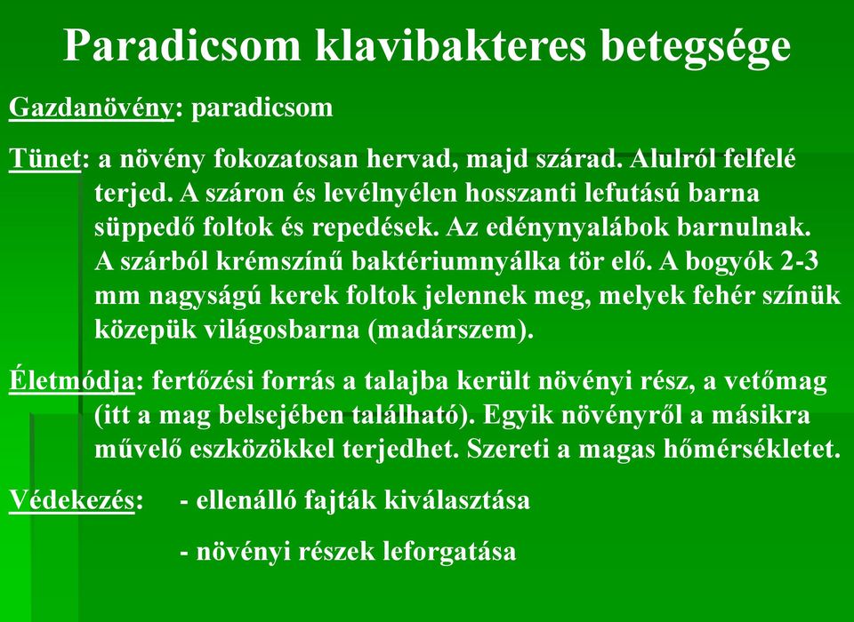 A bogyók 2-3 mm nagyságú kerek foltok jelennek meg, melyek fehér színük közepük világosbarna (madárszem).