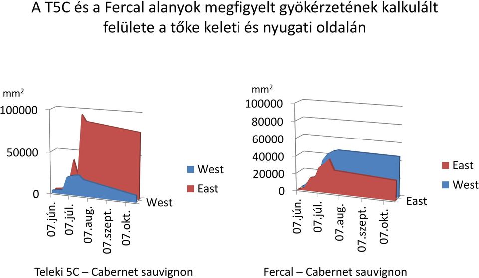 keleti és nyugati oldalán mm 2 100000 50000 0 West West East mm2 100000 80000