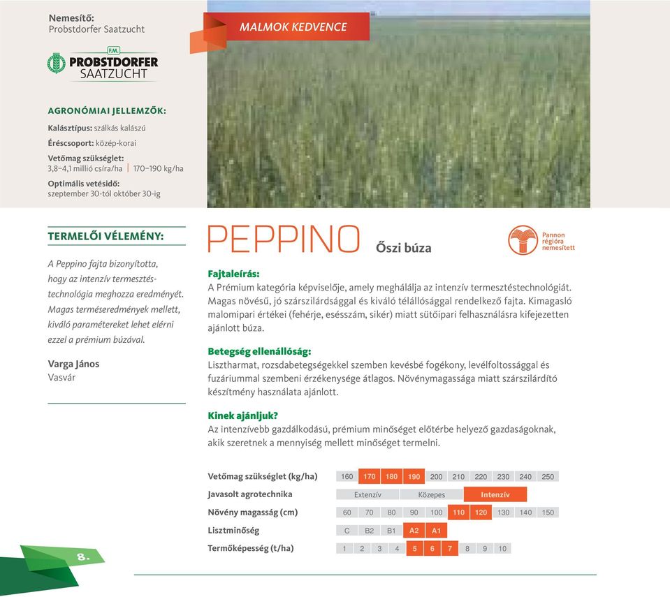 Varga János Vasvár PEPPINO Őszi búza Pannon régióra nemesített A Prémium kategória képviselője, amely meghálálja az intenzív termesztéstechnológiát.