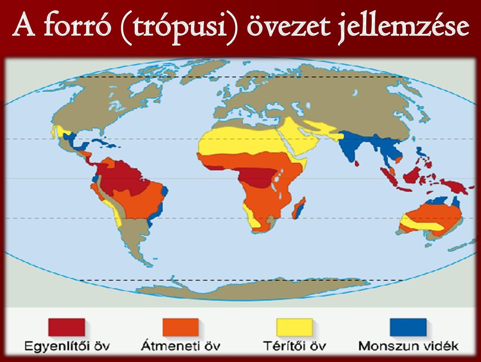 A Forró éghajlati övezet élövilaga Rajz