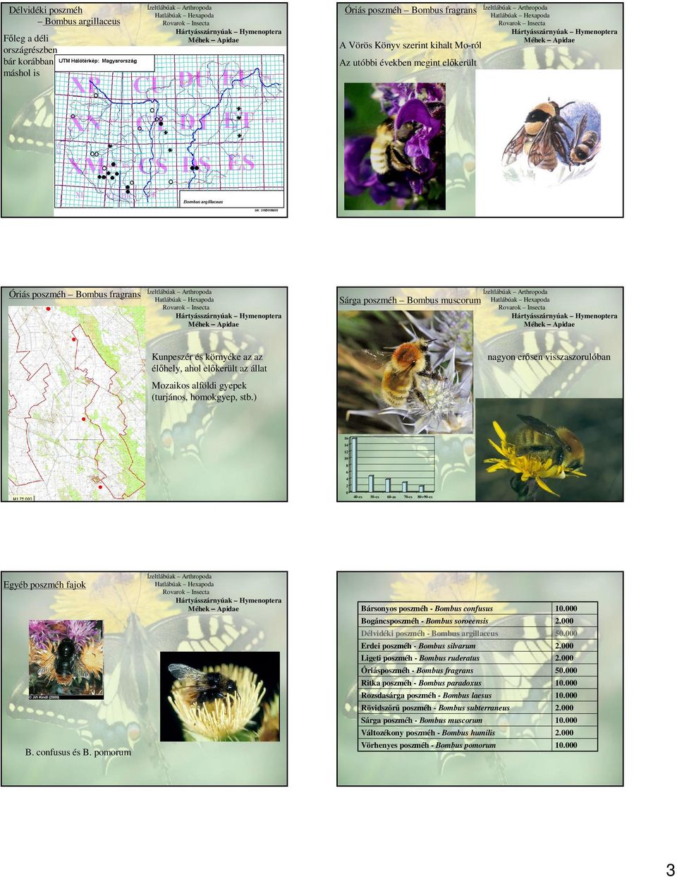 Hymenoptera Méhek Apidae Kunpeszér és környéke az az élőhely, ahol előkerült az állat Mozaikos alföldi gyepek (turjános, homokgyep, stb.