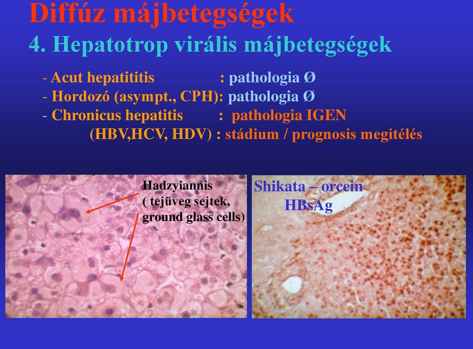 Hordozó (asympt.