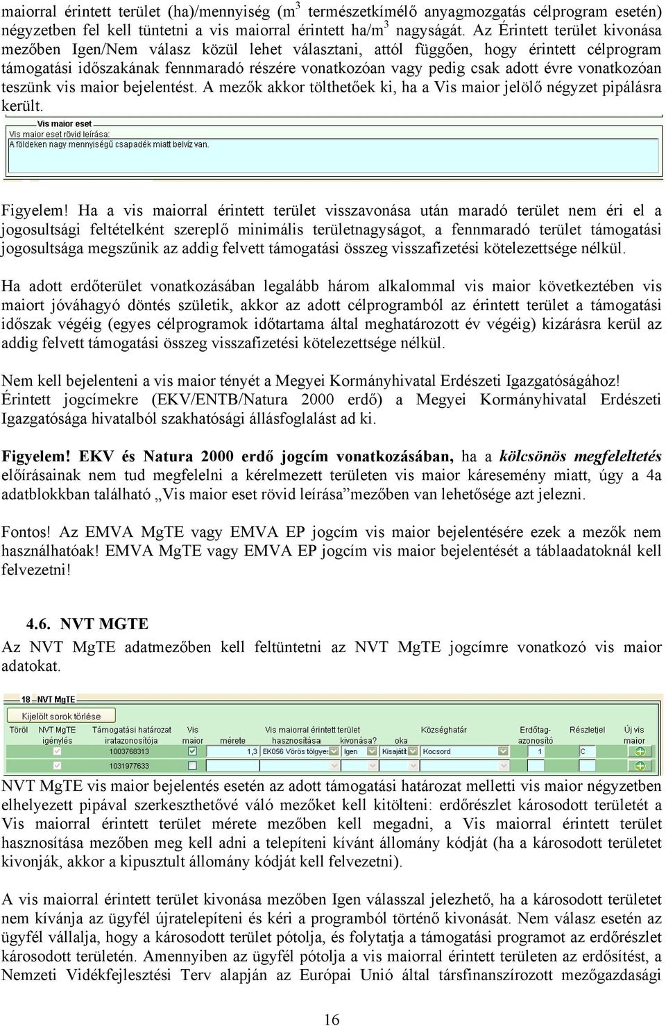 vonatkozóan teszünk vis maior bejelentést. A mezők akkor tölthetőek ki, ha a Vis maior jelölő négyzet pipálásra került. Figyelem!