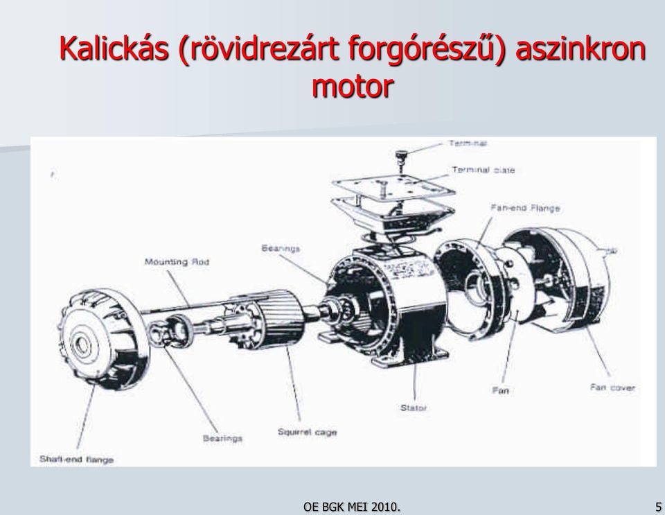 forgórészű)