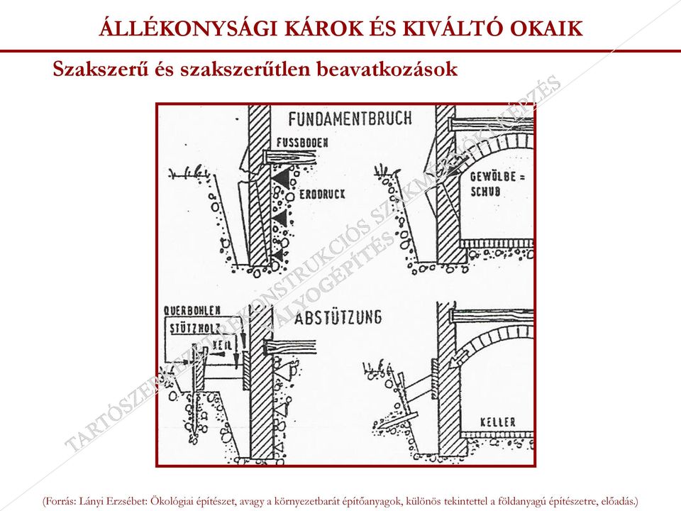 Szakszerű és