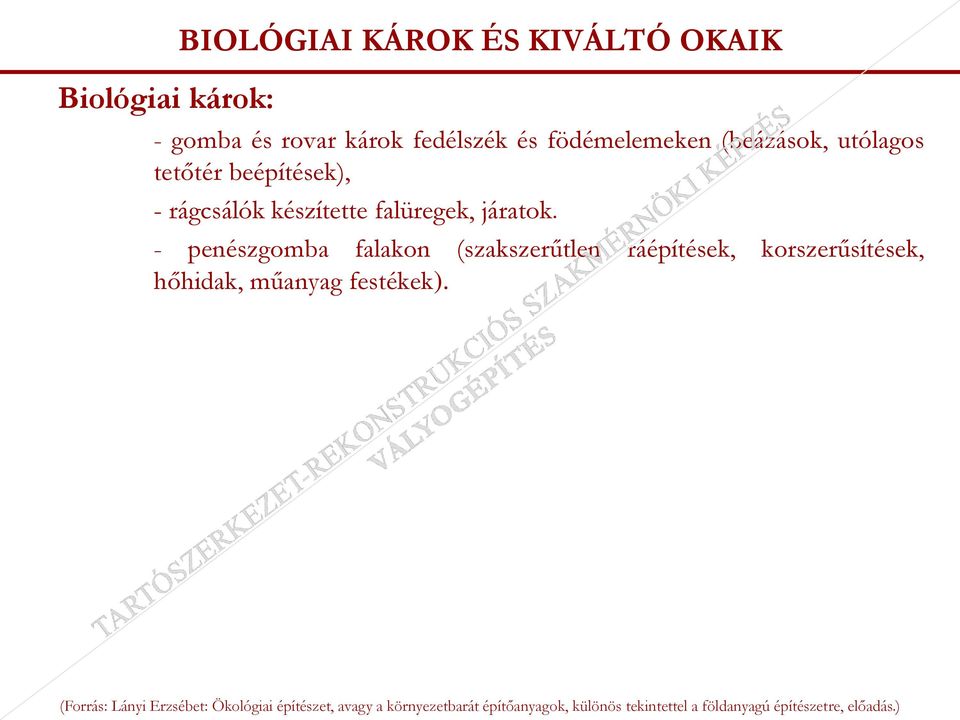 beépítések), - rágcsálók készítette falüregek, járatok.