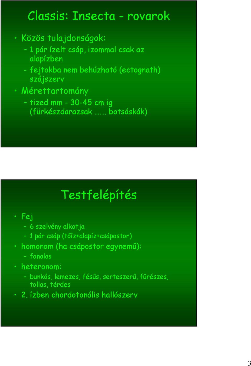 botsáskák) Testfelépítés Fej 6 szelvény alkotja 1 pár csáp (tőíz+alapíz+csápostor) homonom (ha csápostor