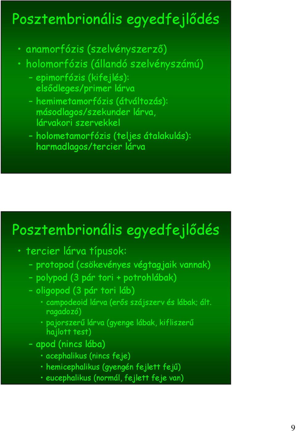 lárva típusok: protopod (csökevényes végtagjaik vannak) polypod (3 pár tori + potrohlábak) oligopod (3 pár tori láb) campodeoid lárva (erős szájszerv és lábak; ált.