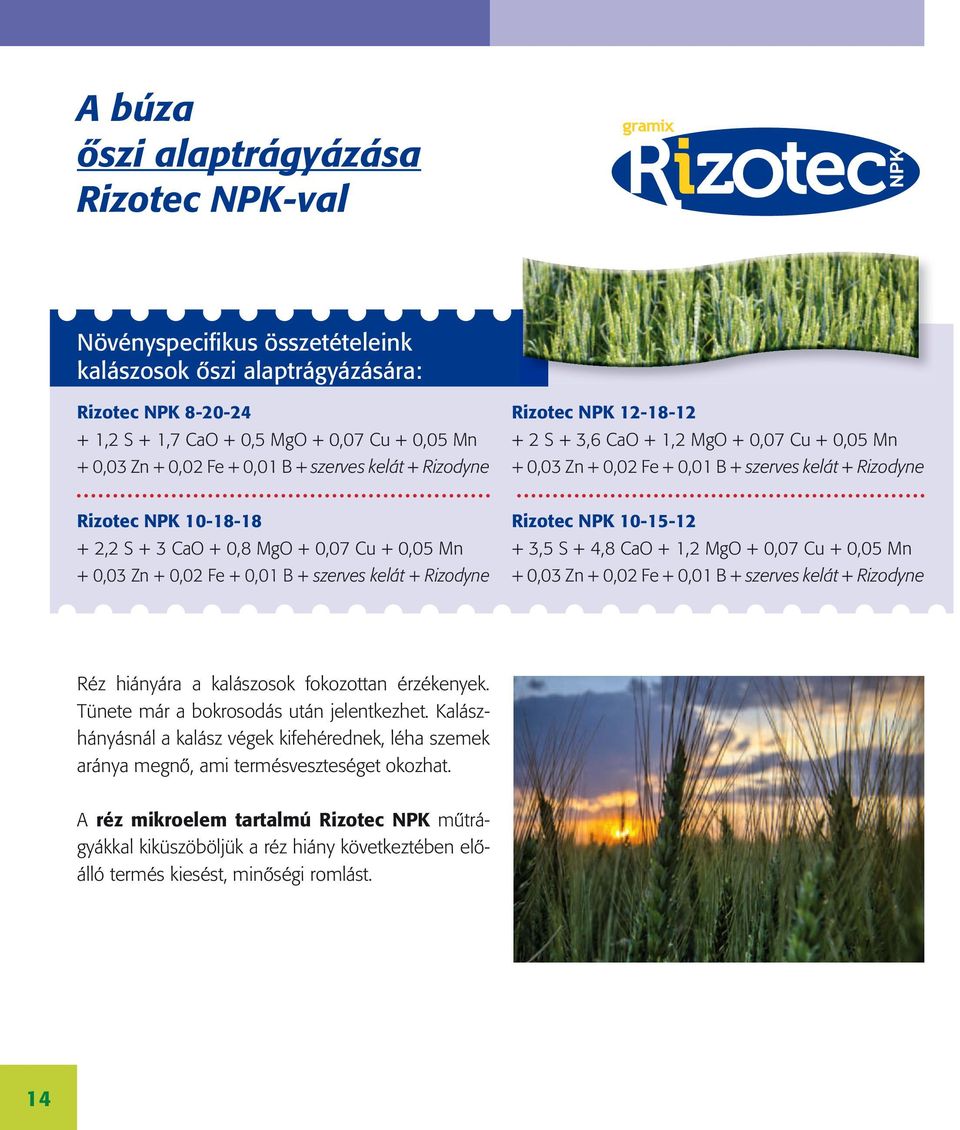 MgO + 0,07 Cu + 0,05 Mn + 0,03 Zn + 0,02 Fe + 0,01 B + szerves kelát + Rizodyne Rizotec NPK 10-15-12 + 3,5 S + 4,8 CaO + 1,2 MgO + 0,07 Cu + 0,05 Mn + 0,03 Zn + 0,02 Fe + 0,01 B + szerves kelát +