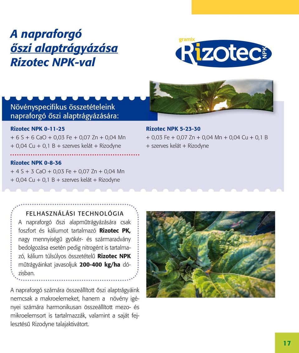 B + szerves kelát + Rizodyne FelhaszNálási technológia A napraforgó őszi alapműtrágyázására csak foszfort és káliumot tartalmazó Rizotec PK, nagy mennyiségű gyökér- és szármaradvány bedolgozása