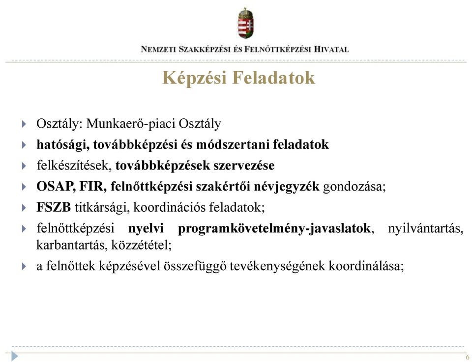 FSZB titkársági, koordinációs feladatok; felnőttképzési nyelvi programkövetelmény-javaslatok,