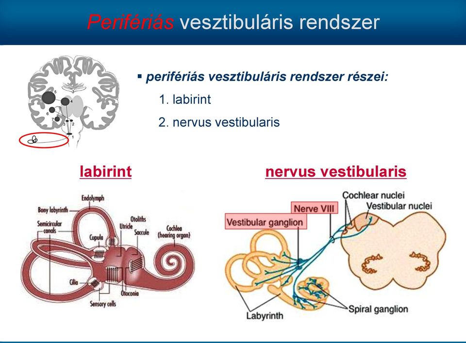 részei: 1. labirint 2.