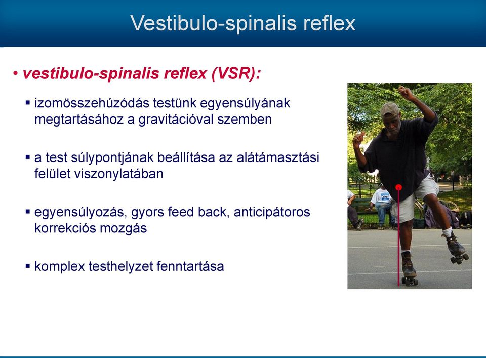 súlypontjának beállítása az alátámasztási felület viszonylatában