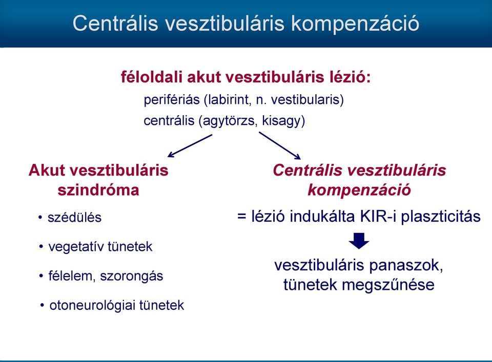 vestibularis) centrális (agytörzs, kisagy) Akut vesztibuláris szindróma szédülés