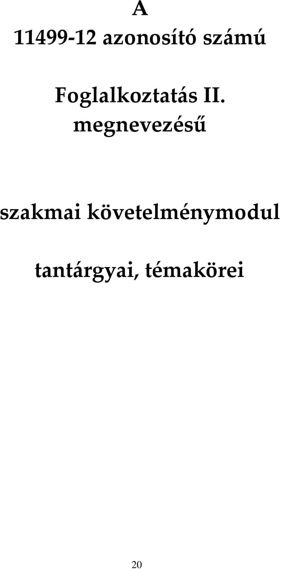 megnevezésű szakmai