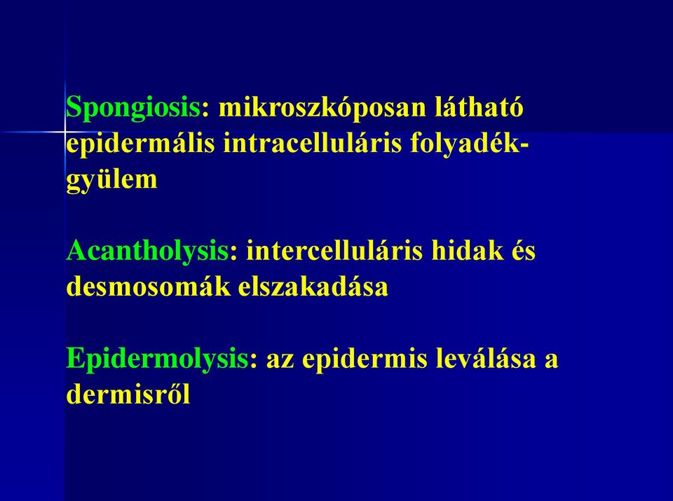 intercelluláris hidak és desmosomák