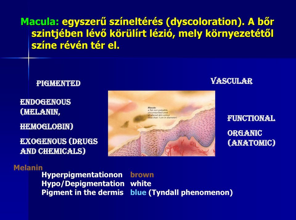 PIGMENTED Endogenous (melanin, Hemoglobin) Exogenous (drugs and chemicals) VASCULAR