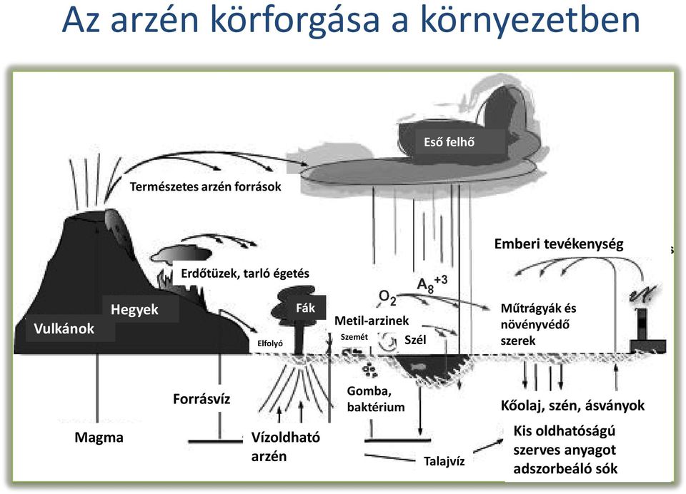 Szél Műtrágyák és növényvédő szerek Forrásvíz Gomba, baktérium Kőolaj, szén,