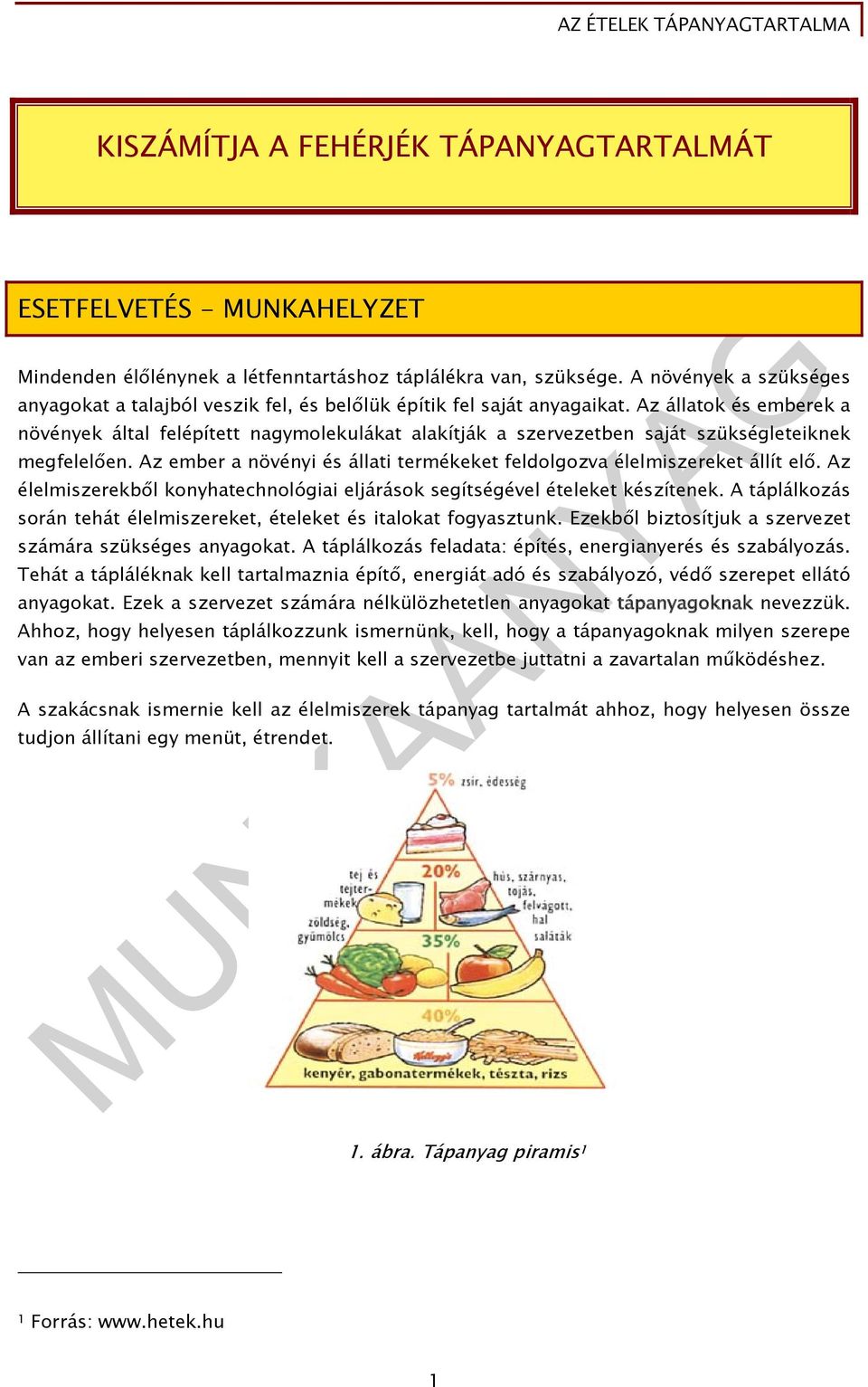 Az állatok és emberek a növények által felépített nagymolekulákat alakítják a szervezetben saját szükségleteiknek megfelelően.