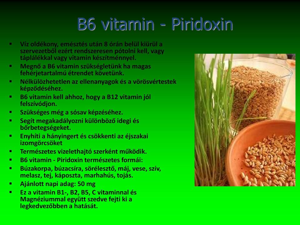 B6 vitamin kell ahhoz, hogy a B12 vitamin jól felszívódjon. Szükséges még a sósav képzéséhez. Segít megakadályozni különböző idegi és bőrbetegségeket.