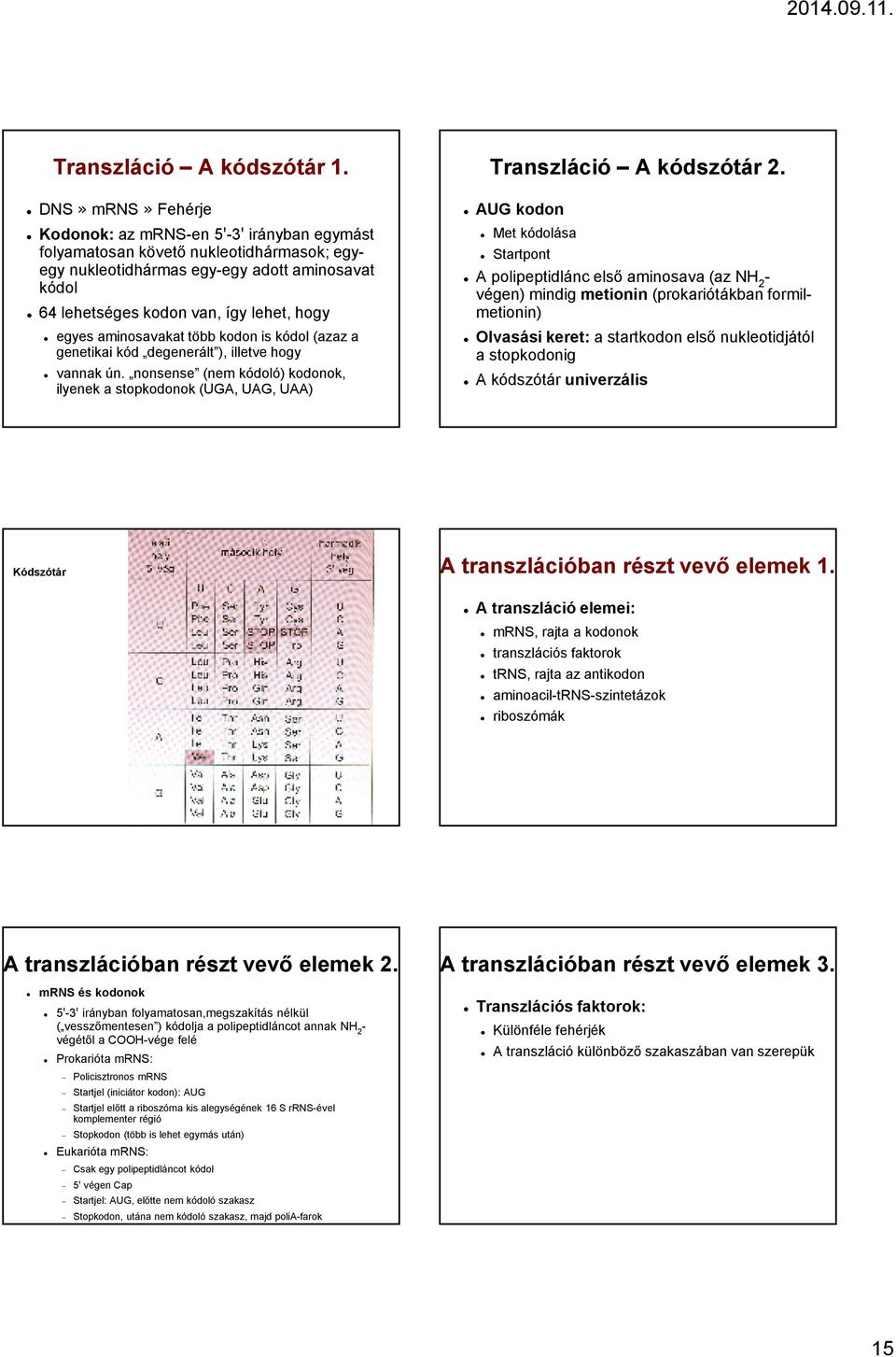 egyes aminosavakat több kodon is kódol (azaz a genetikai kód degenerált ), illetve hogy vannak ún. nonsense (nem kódoló) kodonok, ilyenek a stopkodonok (UGA, UAG, UAA) Transzláció A kódszótár 2.