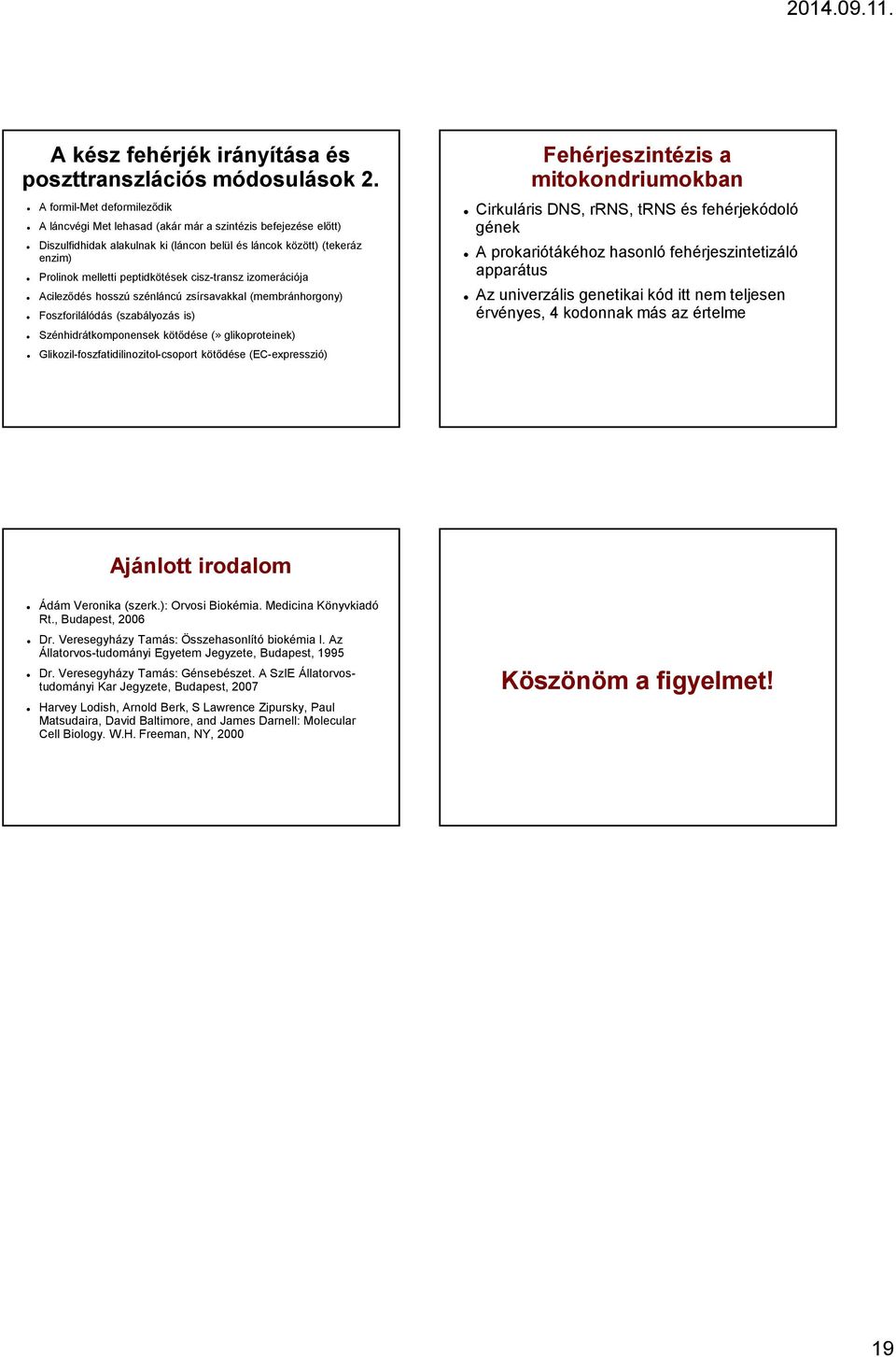 cisz-transz izomerációja Acilezıdés hosszú szénláncú zsírsavakkal (membránhorgony) Foszforilálódás (szabályozás is) Szénhidrátkomponensek kötıdése (» glikoproteinek)