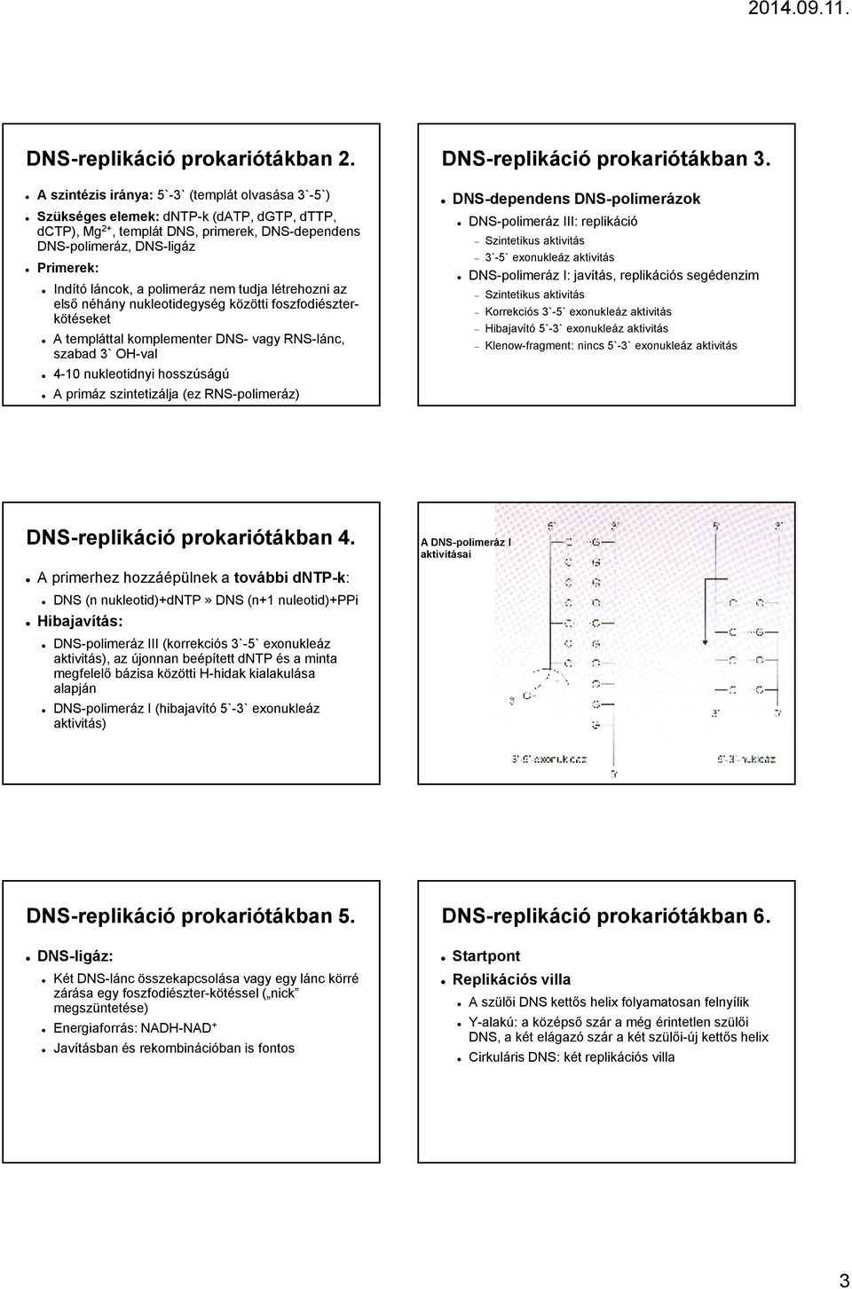 polimeráz nem tudja létrehozni az elsı néhány nukleotidegység közötti foszfodiészterkötéseket A templáttal komplementer DNS- vagy RNS-lánc, szabad 3` OH-val 4-10 nukleotidnyi hosszúságú A primáz