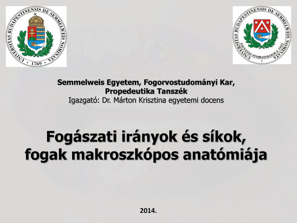 Márton Krisztina egyetemi docens Fogászati