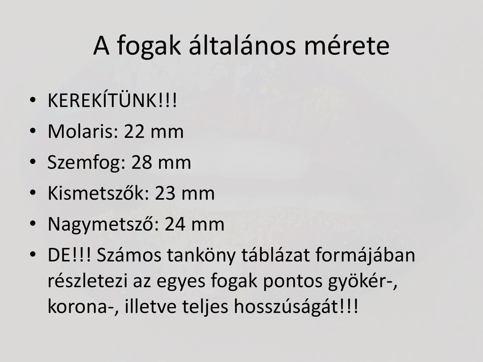 Nagymetsző: 24 mm DE!