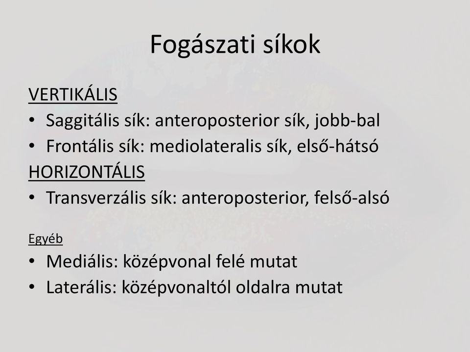HORIZONTÁLIS Transverzális sík: anteroposterior, felső-alsó