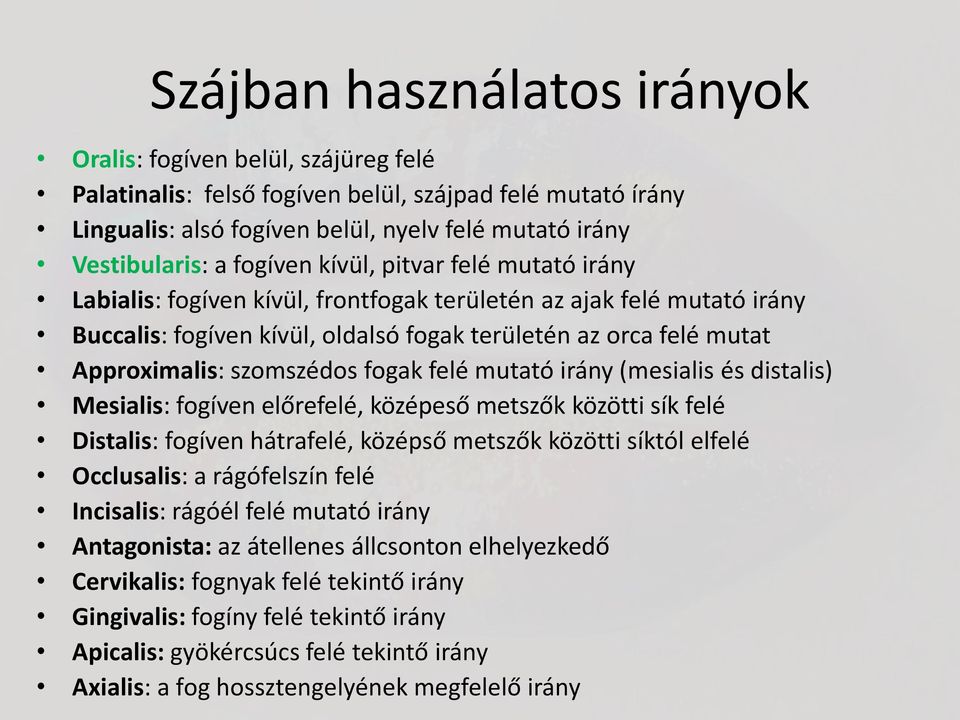 szomszédos fogak felé mutató irány (mesialis és distalis) Mesialis: fogíven előrefelé, középeső metszők közötti sík felé Distalis: fogíven hátrafelé, középső metszők közötti síktól elfelé Occlusalis: