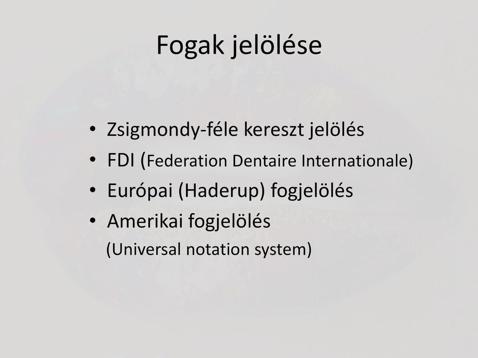 Internationale) Európai (Haderup)
