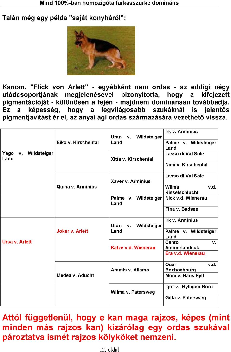 Ez a képesség, hogy a legvilágosabb szukáknál is jelentős pigmentjavítást ér el, az anyai ági ordas származására vezethető vissza. Yago v. Wildsteiger Land Eiko v. Kirschental Uran v.