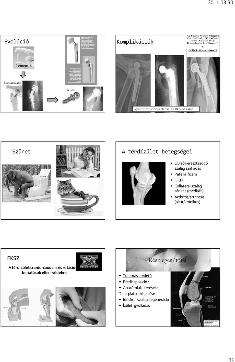 (medialis) Arthritis/arthrosis (akut/krónikus) EKSZ A térdízület cranio-caudalis és rotációs behatások elleni