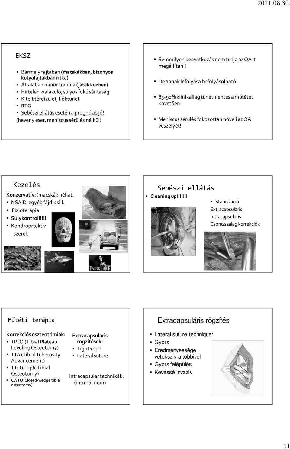 De annak lefolyása befolyásolható 85-90% klinikailag tünetmentes a műtétet követően Meniscus sérülés fokozottan növeli az OA veszélyét! Kezelés Konzervatív: (macskák néha). NSAID, egyéb fájd. csill.