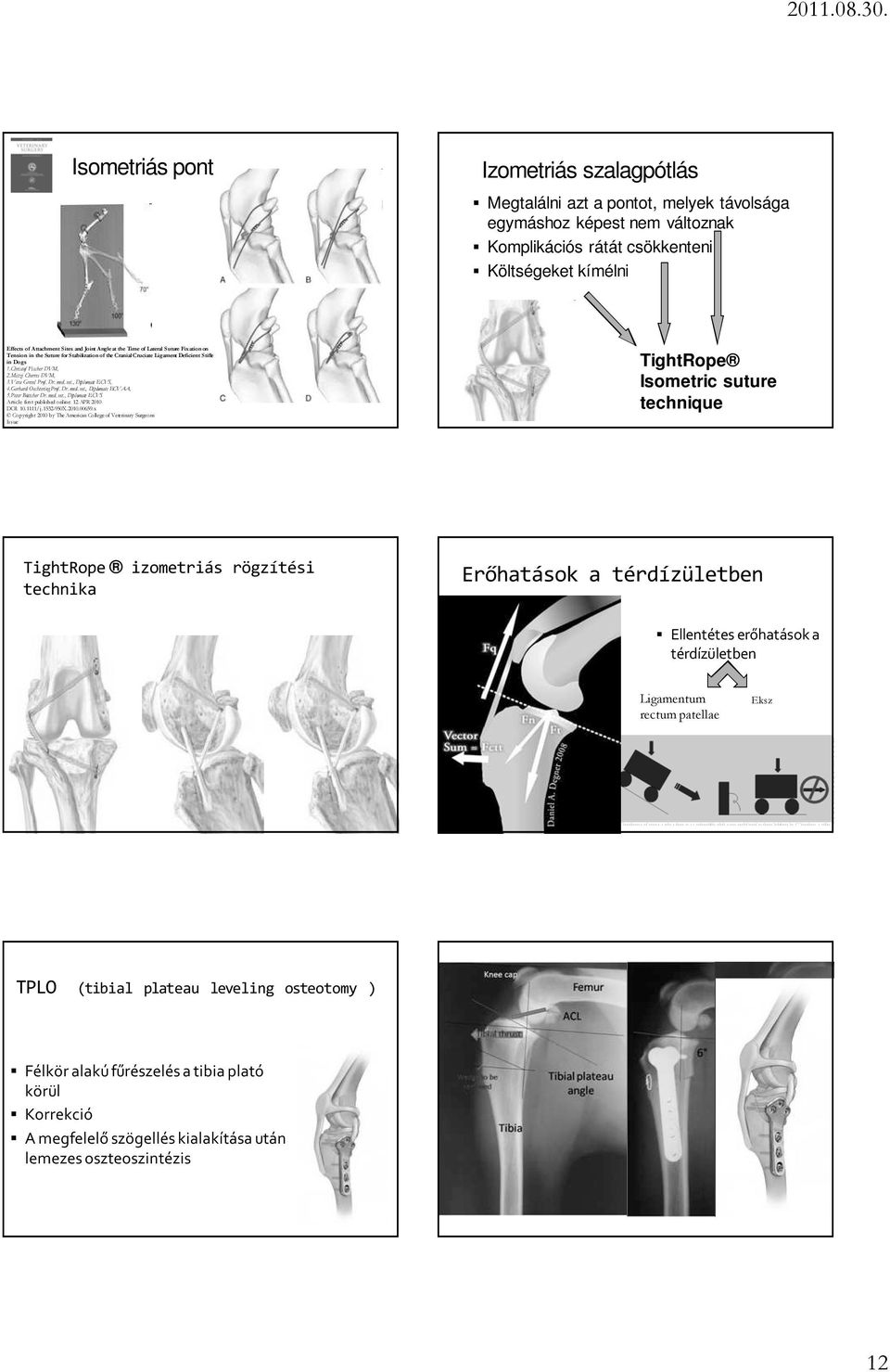 Vera Grevel Prof. Dr. med. vet., Diplomate ECVS, 4.Gerhard Oechtering Prof. Dr. med. vet., Diplomate ECVAA, 5.Peter Böttcher Dr. med. vet., Diplomate ECVS Article first published online: 12 APR 2010 DOI: 10.