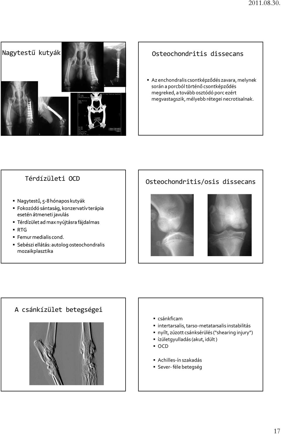 Térdízületi OCD Osteochondritis/osis dissecans Nagytestű, 5-8 hónapos kutyák Fokozódó sántaság, konzervatív terápia esetén átmeneti javulás Térdízület ad max nyújtásra