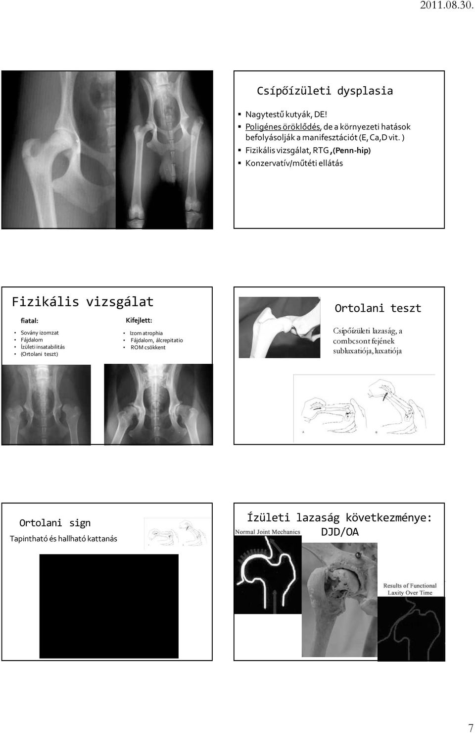 ) Fizikális vizsgálat, RTG,(Penn-hip) Konzervatív/műtéti ellátás Fizikális vizsgálat fiatal: Sovány izomzat Fájdalom Ízületi